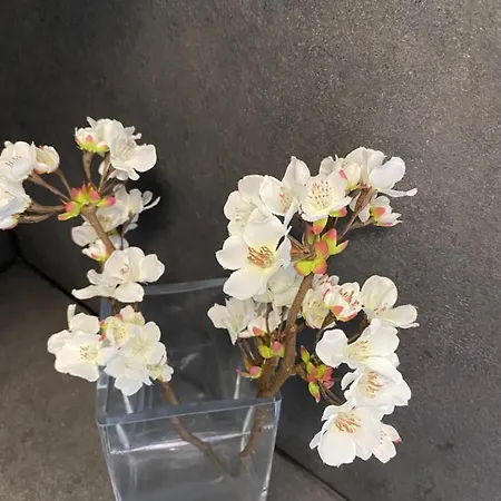 Appartement Balticus Z Widokiem Na Morze *