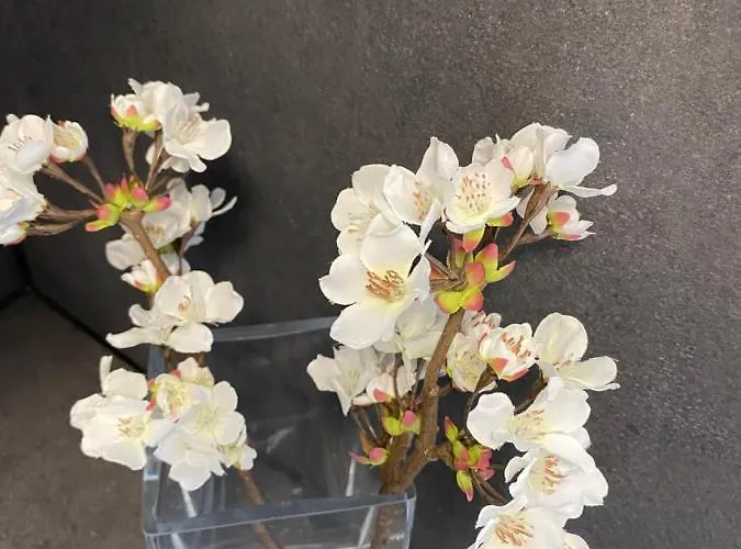 Lägenhet Balticus Z Widokiem Na Morze *