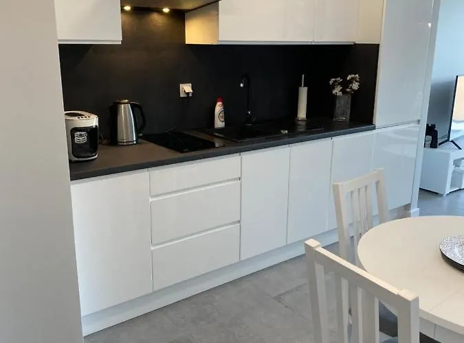 Balticus Z Widokiem Na Morze ミエンジズドロイェ