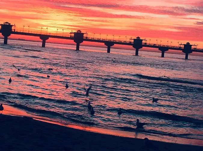 Balticus Z Widokiem Na Morze * ミエンジズドロイェ